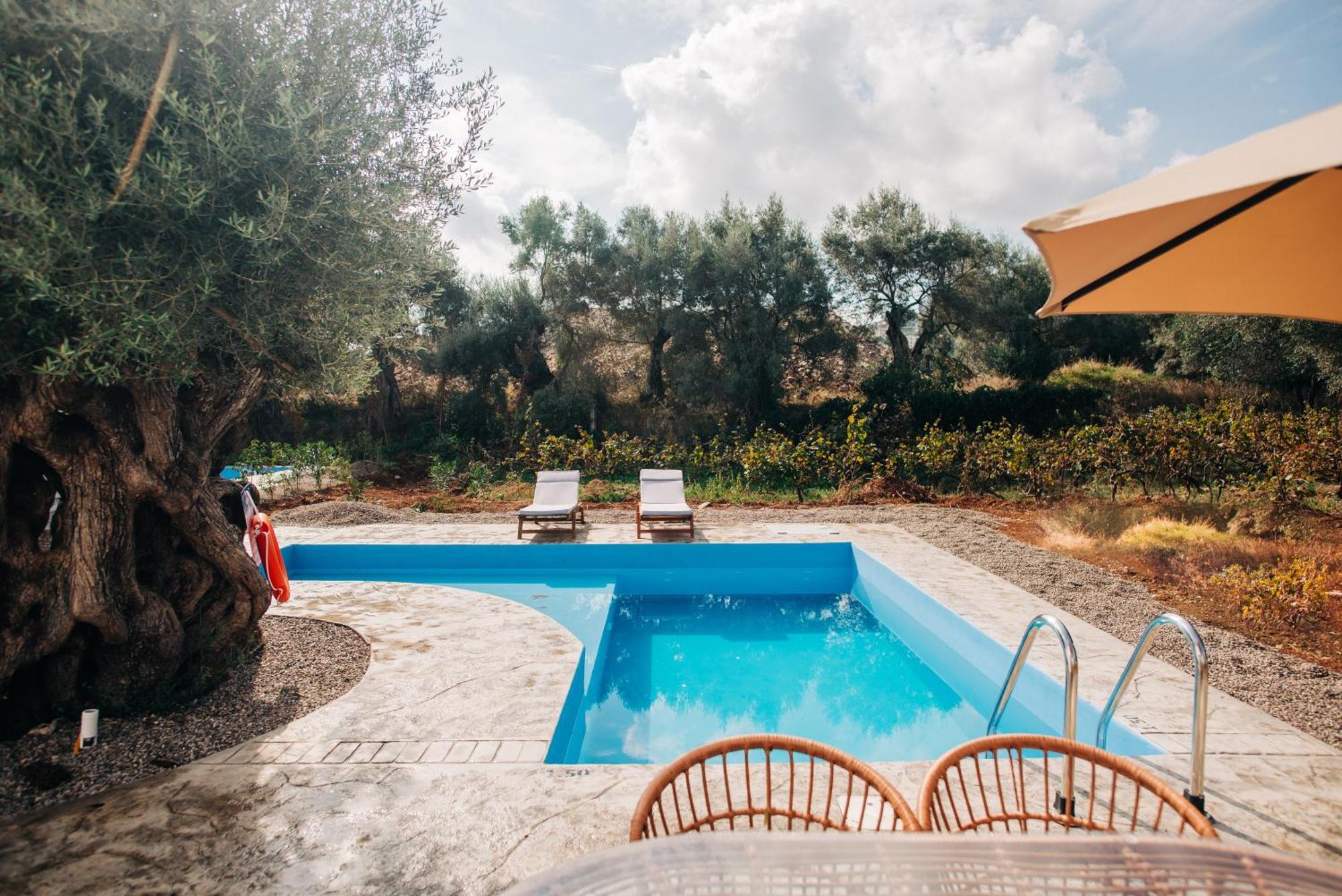 Villa Di Vino Apolpaina Ngoại thất bức ảnh